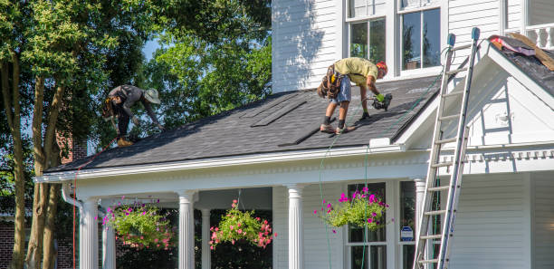 Best Roof Gutter Cleaning  in Jamestown West, NY