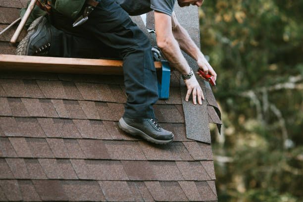 Roof Gutter Cleaning in Jamestown West, NY
